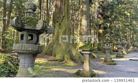 The cedar trees and moss-covered stone lanterns at Fuji Sengen Shrine: A traditional Japanese landscape. The cedar trees and moss-covered stone lanterns at Fuji Sengen Shrine: A traditional Japanese landscape. 139931461