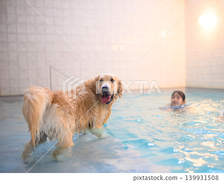 Dogs and children in the pool Dogs and children in the pool 139931508