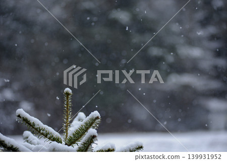 When the silently falling snow stops 139931952