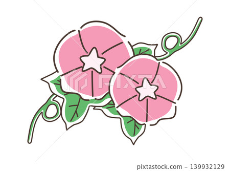 Pink morning glory illustration - doodle style 1 Pink morning glory illustration - doodle style 1 139932129