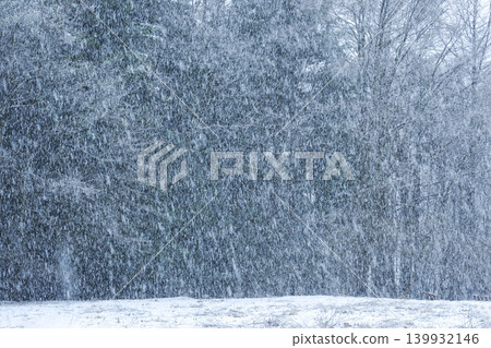 The silently falling snow instantly transforms the landscape into a silver world. 139932146