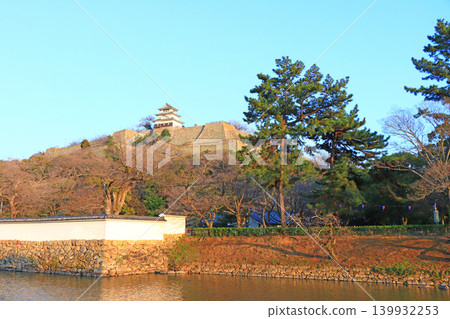 香川縣丸龜市丸龜城風景 香川縣丸龜市丸龜城風景 139932253