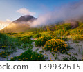 Blooming coastline in a fjord in the Lofoten Islands, Norway. Midnight sun in the north.  139932615