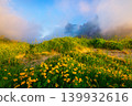 Blooming coastline in a fjord in the Lofoten Islands, Norway. Midnight sun in the north. 139932616