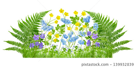 blooming spring wild flowers in the green grass isolated on white background 139932839