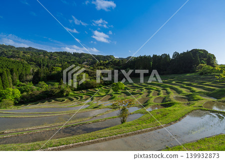 Oyama Senmaida rice terraces before rice planting, Kamogawa City, Chiba Prefecture Oyama Senmaida rice terraces before rice planting, Kamogawa City, Chiba Prefecture 139932873
