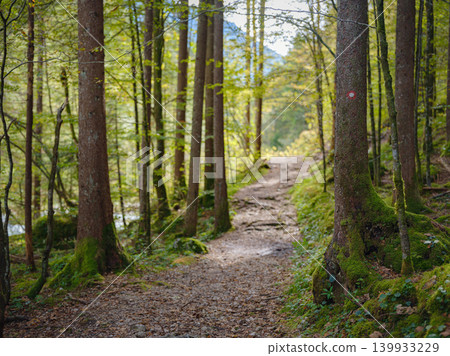 Europe summer travel to Slovenian Alps Europe summer travel to Slovenian Alps 139933229