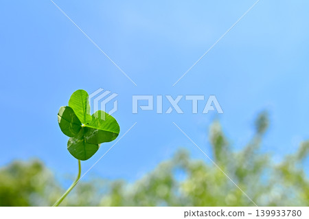 四葉草攜帶幸福 四葉草攜帶幸福 139933780