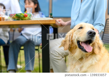 Enjoying outdoor meals with your dog Enjoying outdoor meals with your dog 139933857
