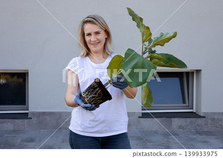 Woman in gardening gloves holding a young plant removed from its pot, showing healthy roots, ready for transplanting to a larger area, symbolizing growth and environmental care Woman in gardening gloves holding a young plant removed from its pot, showing healthy roots, ready for transplanting to a larger area, symbolizing growth and environmental care 139933975