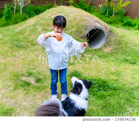 Children and dogs playing outdoors Children and dogs playing outdoors 139934136