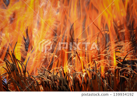 Close-Up Of Burning Incense Sticks With Bright Flames And Curling Smoke At Ritual 139934192