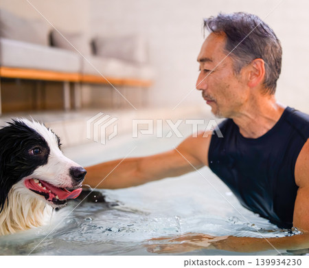 A man interacting with a dog underwater. A man interacting with a dog underwater. 139934230