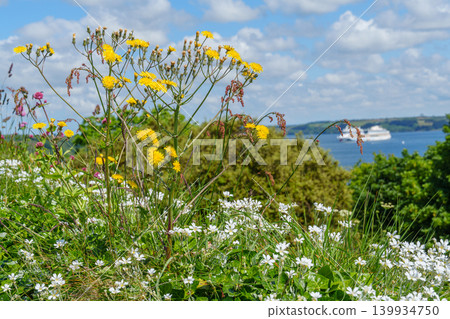 Falmouth at the coast of Cornwall in England Falmouth at the coast of Cornwall in England 139934750