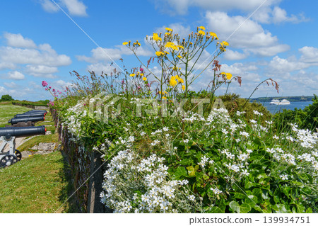 Falmouth at the coast of Cornwall in England 139934751