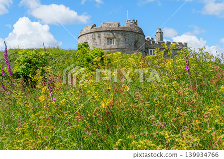 Falmouth at the coast of Cornwall in England Falmouth at the coast of Cornwall in England 139934766