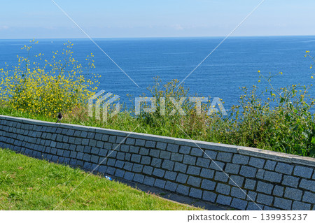 the city of Gijon in Spain 139935237
