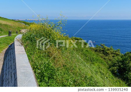the city of Gijon in Spain the city of Gijon in Spain 139935240