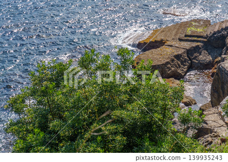 the city of Gijon in Spain 139935243
