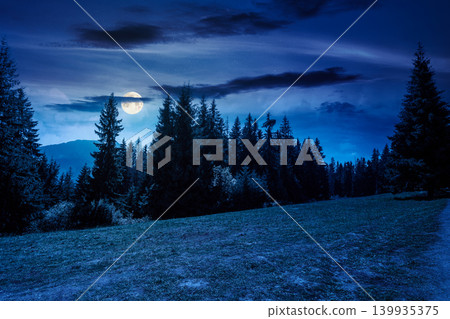 mysterious landscape with coniferous forest in summer at night. fantasy view of mountain landscape in poland. full moon over scenic spruce trees on a grassy alpine meadow. dark sky above the ridge 139935375