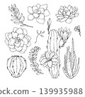 Cactus Succulents Handdraw Vector Set 139935988
