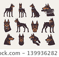 Doberman. Silhouettes of aggressive pets recent vector pictures of dogs 139936282