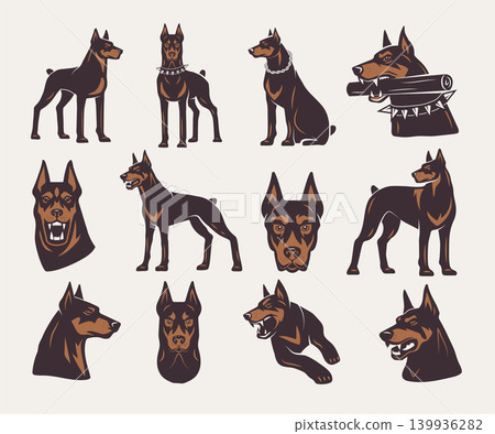 Doberman. Silhouettes of aggressive pets recent vector pictures of dogs Doberman. Silhouettes of aggressive pets recent vector pictures of dogs 139936282