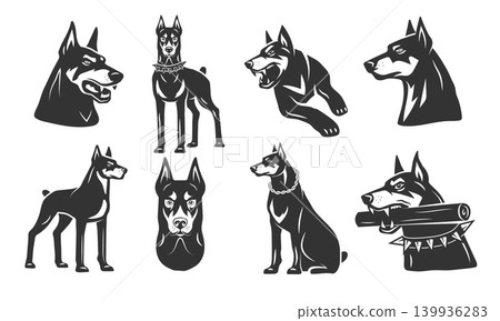 Doberman. Aggressive dog stylized illustration recent vector template pictures for identity design projects Doberman. Aggressive dog stylized illustration recent vector template pictures for identity design projects 139936283