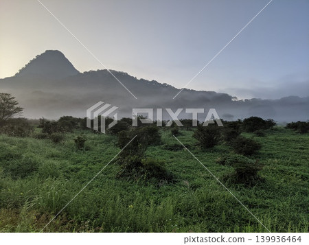 晨霧中的榛名山頂峰，編號2 139936464