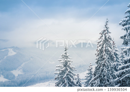 Picture of snow covered Christmas Tree and mountains.. Winter trees in mountains covered with fresh snow on a cloudy day Picture of snow covered Christmas Tree and mountains.. Winter trees in mountains covered with fresh snow on a cloudy day 139936504