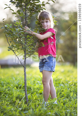 Cute pretty smiling child girl with gray eyes and long blond hair in summer clothing holding to young green sapling tree on blurred sunny park or garden bokeh background. Love to nature concept. Cute pretty smiling child girl with gray eyes and long blond hair in summer clothing holding to young green sapling tree on blurred sunny park or garden bokeh background. Love to nature concept. 139936659