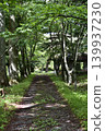 walking path in green park 139937230