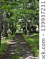 walking path in green park 139937231
