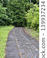A road surrounded by green 139937234