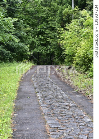 A road surrounded by green 139937234