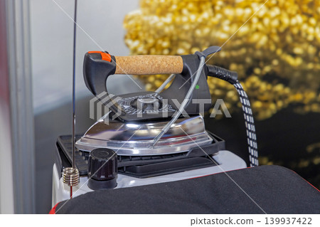 Professional Steam Iron 139937422