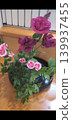 Flowers floating on water 139937455