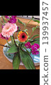 Gerberas arranged on a plate 139937457
