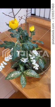 前門裝飾的聖誕花環 139937460