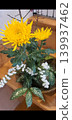 Flowers floating on water 139937462