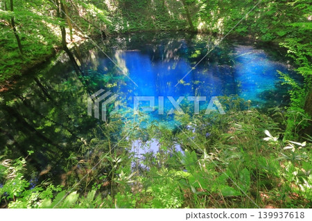 Aoike Pond in the fresh green of spring (Twelve Lakes, Shirakami Mountains, Fukaura Town, Aomori Prefecture) Aoike Pond in the fresh green of spring (Twelve Lakes, Shirakami Mountains, Fukaura Town, Aomori Prefecture) 139937618