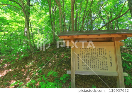 Shirakami Mountains and Twelve Lakes (Beech forest in fresh greenery, Fukaura Town, Aomori Prefecture) Shirakami Mountains and Twelve Lakes (Beech forest in fresh greenery, Fukaura Town, Aomori Prefecture) 139937622