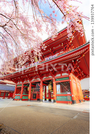淺草寺寶藏門春景及垂枝櫻花 淺草寺寶藏門春景及垂枝櫻花 139937764