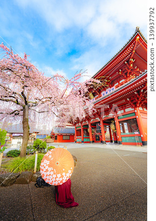 一幅春日景象,畫面中有淺草寺的寶藏門、垂枝櫻花和一把日式雨傘。 一幅春日景象,畫面中有淺草寺的寶藏門、垂枝櫻花和一把日式雨傘。 139937792