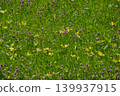Lush green grass texture on spring meadow with small yellow flowers 139937915
