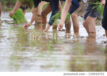 Rice planting Rice planting 139938701