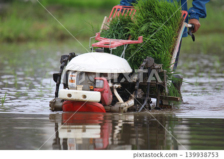 A man planting rice using a hand-operated rice planting machine A man planting rice using a hand-operated rice planting machine 139938753