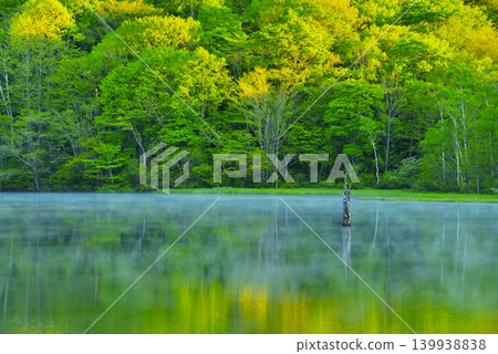 鏡池 鏡池 139938838