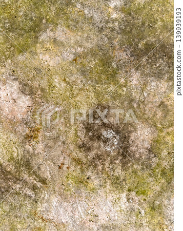 Moss and Grime on an Aged Concrete Surface Moss and Grime on an Aged Concrete Surface 139939193