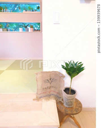 Dracaena compacta, a potted houseplant in a 4-inch pot. Wild greenery in a pot, perfect for a living room in a detached house. A small but vibrant life force. Dracaena compacta, a potted houseplant in a 4-inch pot. Wild greenery in a pot, perfect for a living room in a detached house. A small but vibrant life force. 139939678